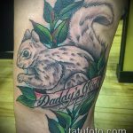 A mókus tetoválásának érvényes változata - a rajz alkalmas a mókus sündisznó béka tetoválásának fényképére