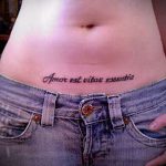 A bikini tetoválás # 295 a minta hűvös változata, amely sikeresen használható változtatásra és tetováló bikiniként történő alkalmazásra