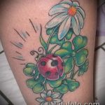 fotó a katicabogár tetoválásról # 151 - a minta exkluzív változata, amely sikeresen felhasználható katicabogár tetoválásként a lóherén