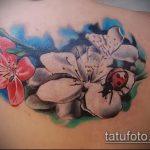 fotó a katicabogár tetoválás 60 -as számáról - a minta érdekes változata, amely sikeresen használható változtatásra és tetováló katicabogárként történő alkalmazásra