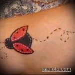 fotó a katicabogár tetoválásról 114 - a minta exkluzív változata, amely jól használható felülvizsgálatra és alkalmazásra katicabogár tetováló lóhereként