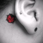 fotó a katicabogár tetoválásról # 908 - a minta hűvös változata, amely könnyen használható változtatásra és tetoválásként egy katicabogárra az alsó hasban