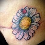 fotó a katicabogár tetoválásról # 487 - a minta hűvös változata, amely jól használható változtatásra és alkalmazásra katicabogár tetováló lóhereként