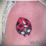 fotó a katicabogár tetoválásról # 911 - a minta hűvös változata, amely jól használható a tetoválás katicabogár lóhere feldolgozására és alkalmazására