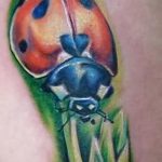 fotó a katicabogár tetoválásról # 912 - a minta egyedi változata, amely sikeresen használható felülvizsgálatra és alkalmazásra, mint egy katicabogár tetoválása az alján