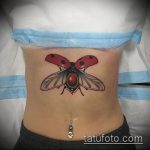 fotó a katicabogár tetoválásról # 860 - a minta hűvös változata, amely könnyen használható változtatásra és katicabogár tetoválás lóhereként való alkalmazására