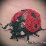 fotó a katicabogár tetoválás 779 -es számáról - a minta érdekes változata, amely jól használható átalakítására és katicabogár -tetoválásként történő alkalmazására az alsó hasban