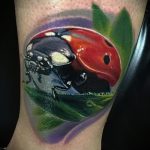 fotó a katicabogár tetoválásról # 527 - a minta méltó változata, amely sikeresen felhasználható katicabogár tetoválásként a karon