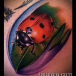 fotó a katicabogár tetoválásról # 403 - a minta hűvös változata, amely sikeresen használható változtatásra és alkalmazásra, mint egy katicabogár fotó tetoválása a lábán