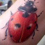 fotó a katicabogár tetoválásról # 696 - a minta exkluzív változata, amely jól használható a fűben lévő katicabogár tetoválásához és feldolgozásához