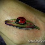 fotó a katicabogár tetoválásról # 401 - a minta hűvös változata, amely sikeresen használható felülvizsgálatra és alkalmazásra katicabogár tetováló lóhereként