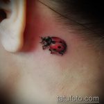 fotó a katicabogár tetoválásról # 378 - a minta exkluzív változata, amely jól használható változtatásra és katicabogár tetoválására a nyakon
