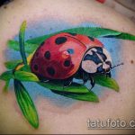 fotó a katicabogár tetoválás 126. számáról - a minta érdekes változata, amely jól használható felülvizsgálatra és alkalmazásra katicabogár tetoválásként 3D -ben