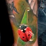 fotó a katicabogár tetoválásról # 401 - a minta méltó változata, amely jól használható átalakítására és tetoválásként való alkalmazására egy katicabogár kezén