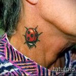fotó a katicabogár tetoválásról # 617 - a minta hűvös változata, amely sikeresen felhasználható katicabogár tetoválásként egy lány számára
