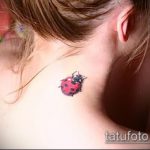 fotó a katicabogár tetoválásról # 945 - a minta exkluzív változata, amely sikeresen használható a katicabogár tetováláshoz a realizmusban