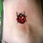 fotó a katicabogár tetoválásról # 686 - a minta exkluzív változata, amely sikeresen használható a katicabogár karján történő átalakítására és tetoválására