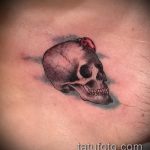 fotó a katicabogár tetoválásról # 475 - a minta exkluzív változata, amely sikeresen használható felülvizsgálatra és alkalmazásra katicabogár tetoválásként a lóherén