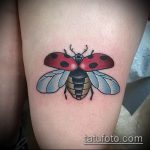 fotó a katicabogár tetoválásról # 396 - a minta érdekes változata, amelyet sikeresen lehet használni akvarell stílusú katicabogár tetoválásként