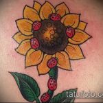 fotó a katicabogár tetoválásról # 431 - a minta exkluzív változata, amely könnyen használható változtatásra és katicabogár -tetoválásként a csuklóra