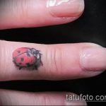 fotó a katicabogár tetoválásról # 316 - a minta egyedülálló változata, amely sikeresen használható átalakítására és alkalmazására katicabogár tetoválásként lóherával