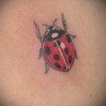 fotó a katicabogár tetoválásról 891 - a minta érdekes változata, amely jól használható felülvizsgálatra és tetoválásként való alkalmazásra kis katicabogárként