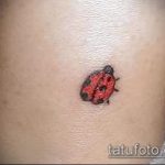 fotó a katicabogár tetoválásról # 212 - a minta exkluzív változata, amely könnyen használható változtatásra és alkalmazásra katicabogár tetoválásként akvarellként