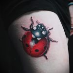 fotó a katicabogár tetoválásról # 722 - a minta érdekes változata, amely sikeresen használható a katicabogár tetoválásaként történő feldolgozására és alkalmazására