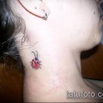 fotó a katicabogár tetoválásról # 226 - a minta exkluzív változata, amely sikeresen használható revízióhoz és rajzoláshoz, mint katicabogár tetoválás akvarell