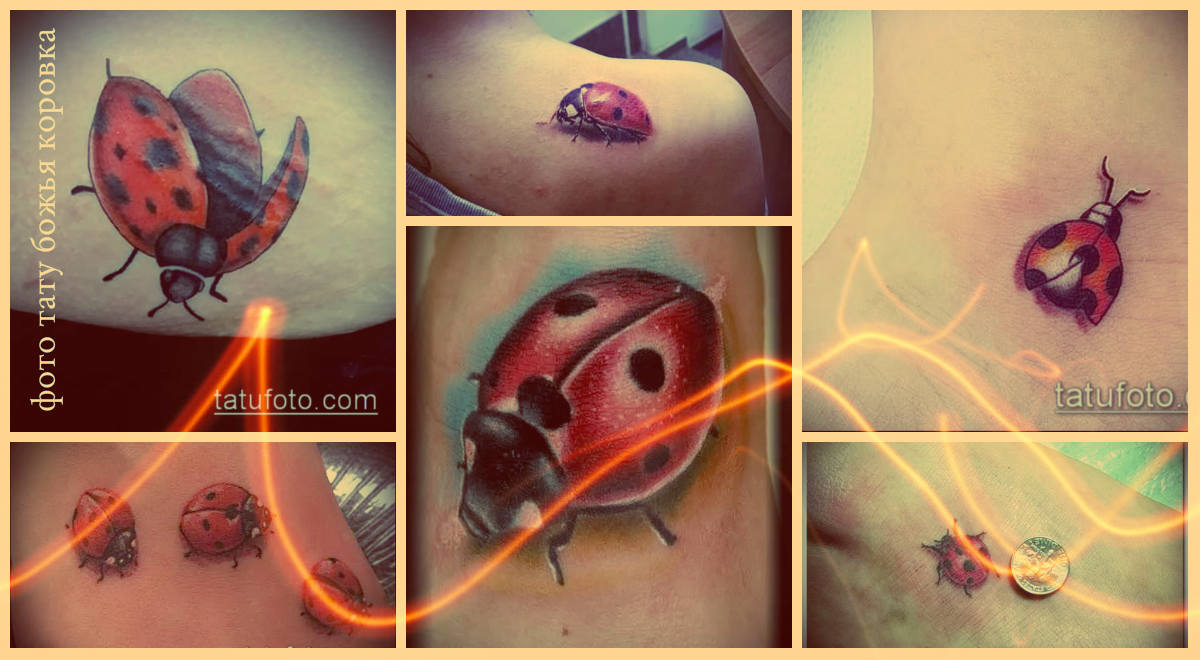 Fotó egy katicabogár tetoválásról - méltó lehetőségek a kész tetoválásokhoz a kiválasztáshoz és az ismerkedéshez