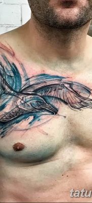 fotó tetoválás sirály 2019.03.03 №044 - fotó tetoválás sirály -