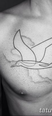 fotó tetoválás sirály 2019.03.03 №049 - fotó tetoválás sirály -