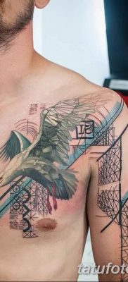 fotó tetoválás sirály 2019.03.06. №051 - fotó tetoválás sirály -