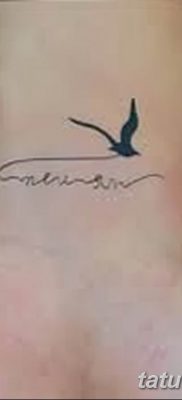 fotó tetoválás sirály 2019.03.03. №052 - fotó tetoválás sirály -