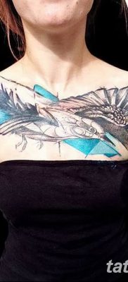 fotó tetoválás sirály 2019.03.03. №053 - fotó tetoválás sirály -