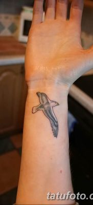 fotó tetoválás sirály 2019.03.03. №055 - fotó tetoválás sirály -
