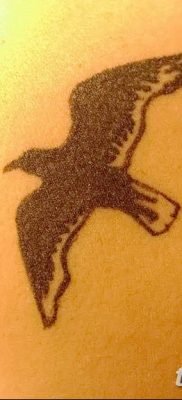 fotó tetoválás sirály 2019.03.03. №058 - fotó tetoválás sirály -