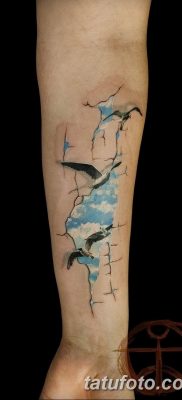 fotó tetoválás sirály 2019.03.03 №063 - fotó tetoválás sirály -