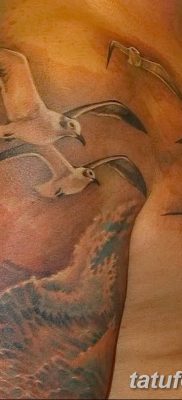 fotó tetoválás sirály 2019.03.03 №064 - fotó tetoválás sirály -