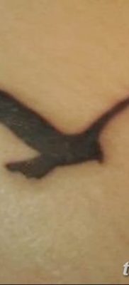 fotó tetoválás sirály 2019.03.03 №065 - fotó tetoválás sirály -