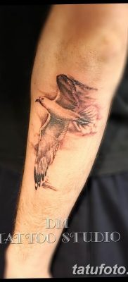 fotó tetoválás sirály 2019.03.03 №070 - fotó tetoválás sirály -