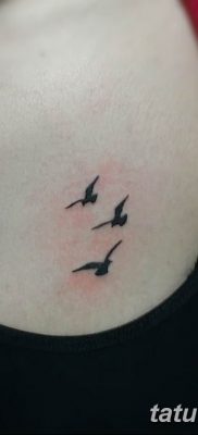 fotó tetoválás sirály 2019.03.03 №071 - fotó tetoválás sirály -