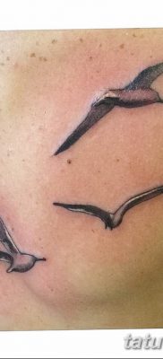fotó tetoválás sirály 2019.03.03 №072 - fotó tetoválás sirály -