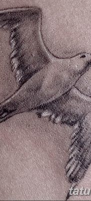 fotó tetoválás sirály 2019.03.03 №075 - fotó tetoválás sirály -