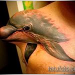 fotó a delfintetoválásról # 699 - a kép hűvös változata, amely sikeresen használható a delfintetoválás átalakítására és felhelyezésére a csuklóra fényképként