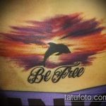 fotó a delfintetoválásról 20