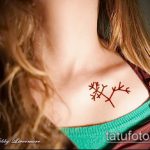 fotófa tetoválás 72. szám - a minta hűvös változata, amely sikeresen használható fa tetoválás akvarellként történő átalakítására és alkalmazására