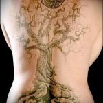 fotó a fa tetoválásról # 877 - a minta érdekes változata, amely sikeresen használható fa és hold tetoválás feldolgozására és alkalmazására