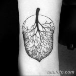 Fénykép egy tetoválófa tölgy rajzról 2018.10.20 №020 - tetoválófa tölgy rajz -