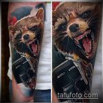 fénykép a mosómedve tetoválásról, 474. szám - a kép hűvös változata, amely jól használható egy mosómedve vázlatának feldolgozására és felvitelére a vállán, mint tetoválás